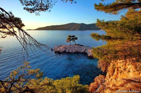 11896375_10205116069001249_2465882164244306089_o